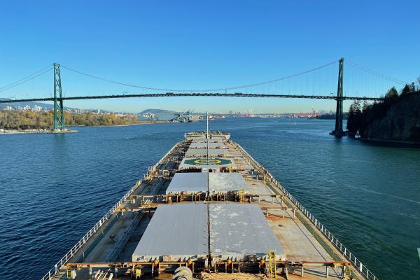 Ship heading under a bridge